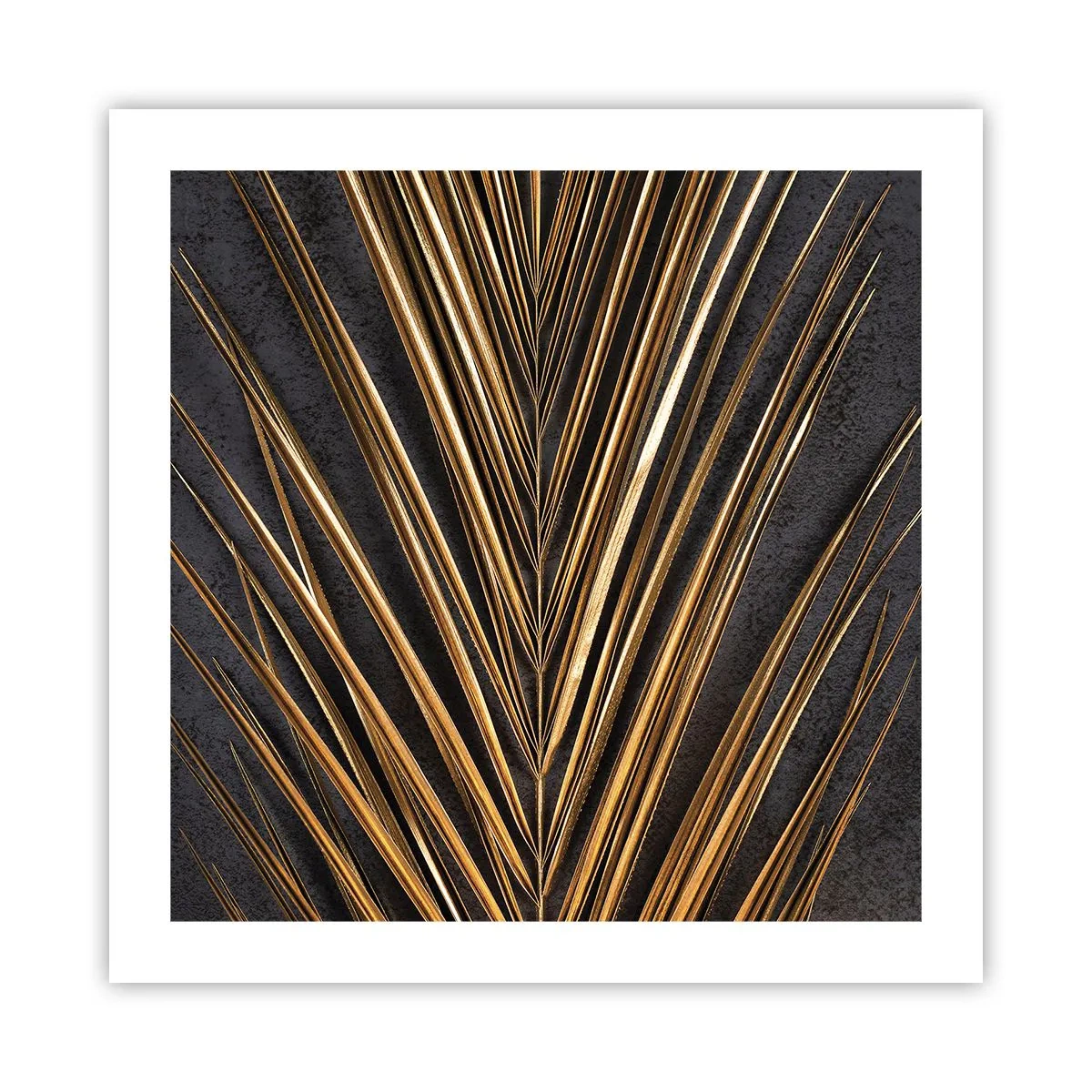 Poster - Das Gold der Tropen - 50x50 cm