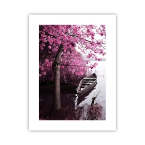 Poster - In rosa Stille - 30x40 cm
