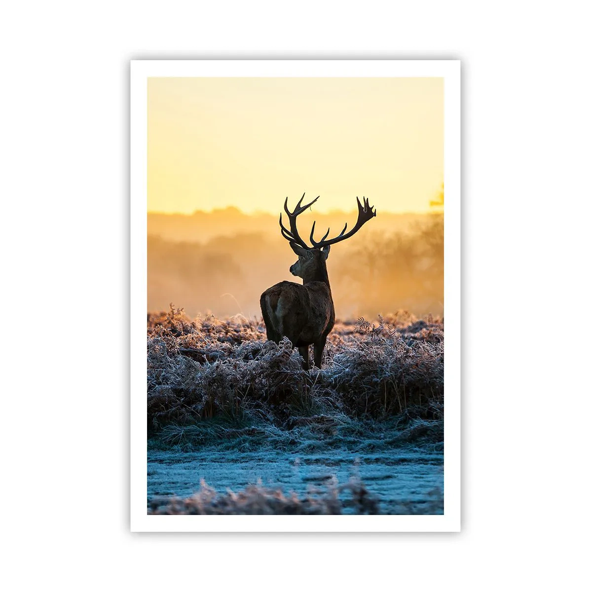 Poster - Gekrönt auf seinem Besitz - 70x100 cm