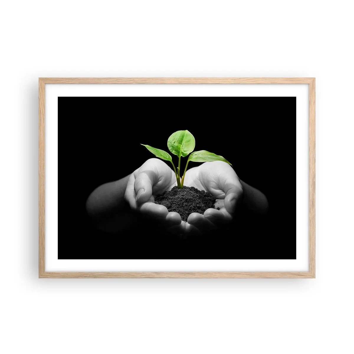 Poster in einem Rahmen aus heller Eiche - Ich liebe die Natur, ich beschütze sie - 70x50 cm