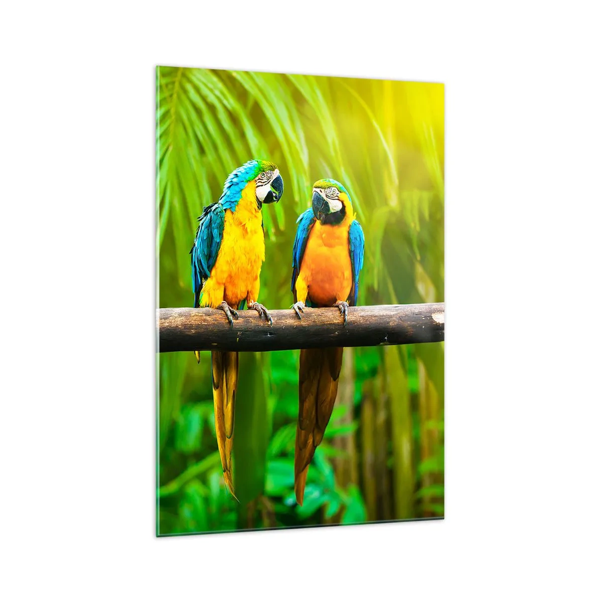 Glasbild - Bild auf glas - Drei bunte Papageien vor einem Hintergrund aus tropischem Grün - 70x100cm - Und hast du gehört, dass sie ...? - Moderne Wanddekoration für Wohnzimmer und Schlafzimmer ARTTOR