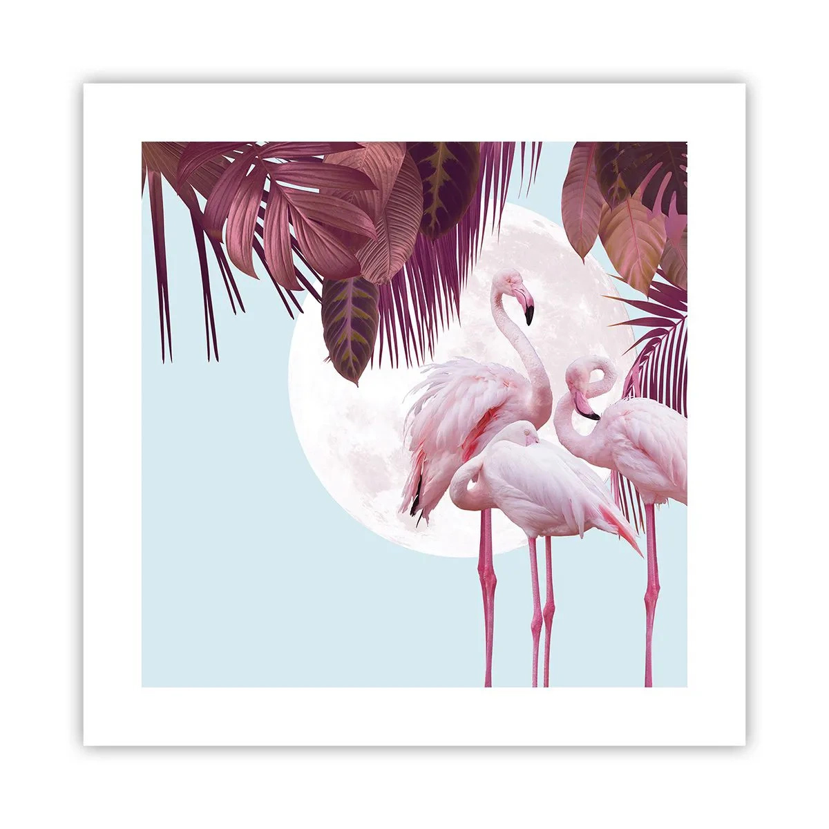 Poster - Drei Vogelgnaden - 40x40 cm