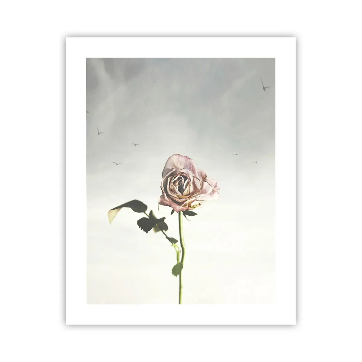 Poster - Begrüßung des Frühlings - 40x50 cm