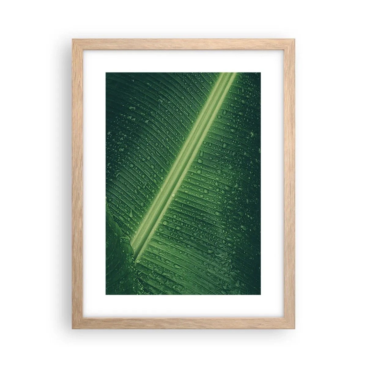 Poster in einem Rahmen aus heller Eiche - Die Struktur des Grüns - 30x40 cm