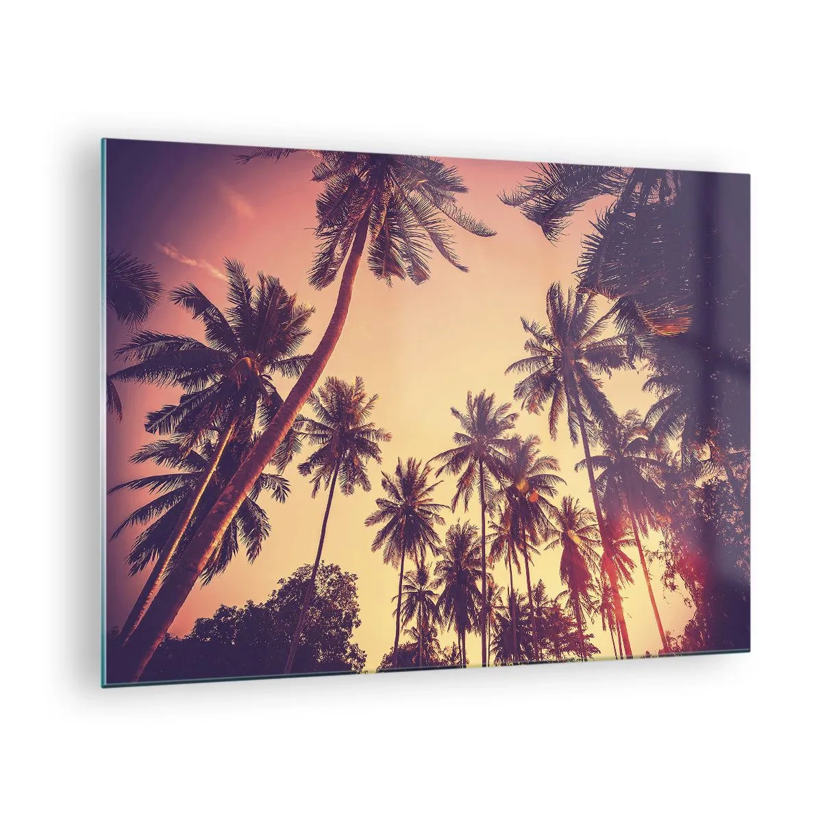 Glasbild - Bild auf glas - Palmen in den Strahlen der untergehenden Sonne - 70x50cm - Tropische Variante - Moderne Wanddekoration für Wohnzimmer und Schlafzimmer ARTTOR