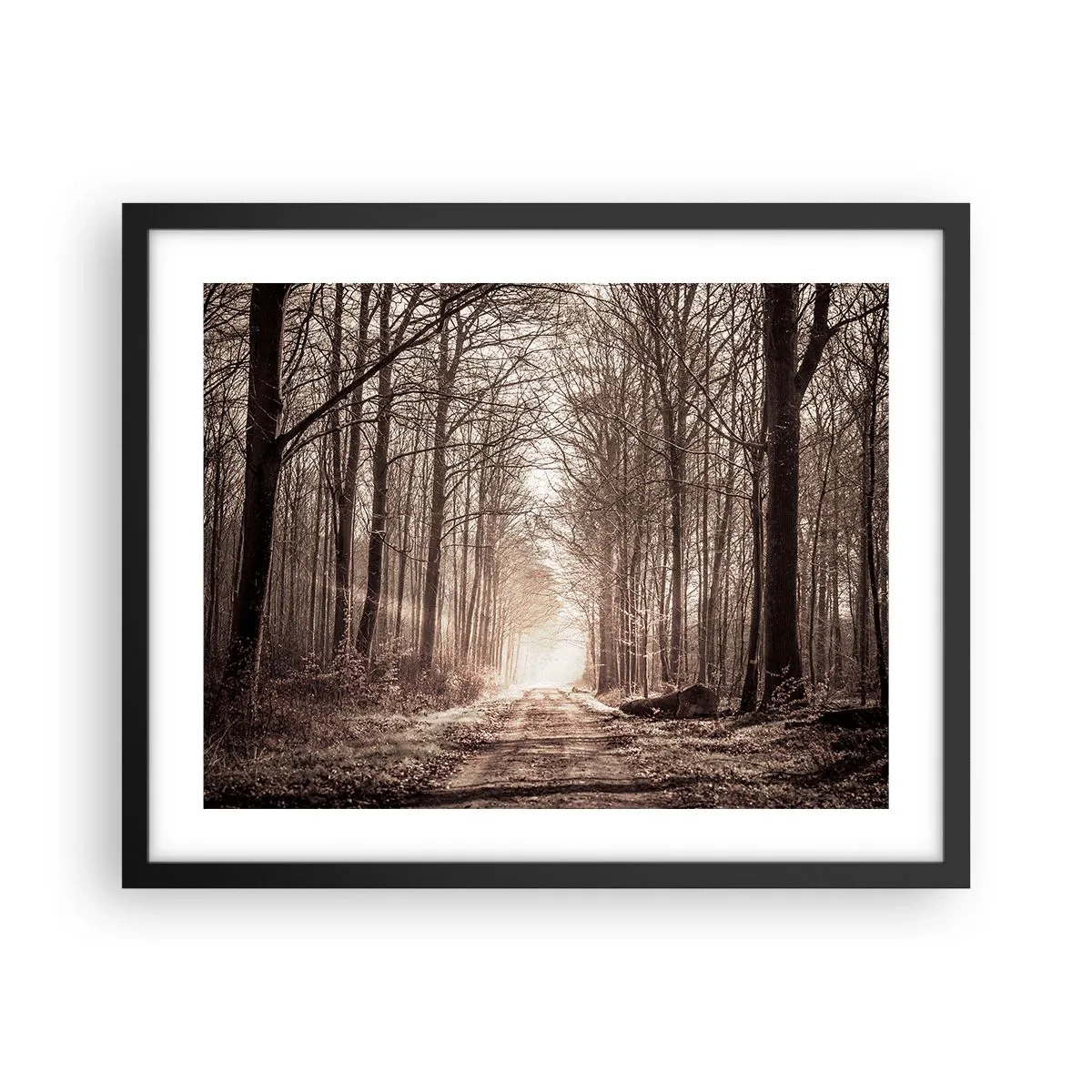 Poster in einem schwarzem Rahmen - Waldkathedrale - 50x40 cm