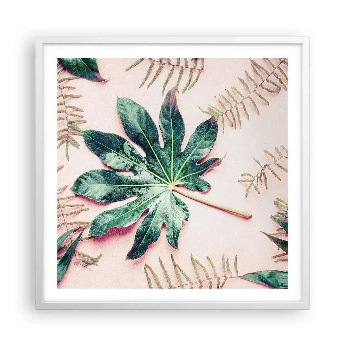 Poster in einem weißen Rahmen - Eine Studie von Grün auf einem rosa Hintergrund - 60x60 cm