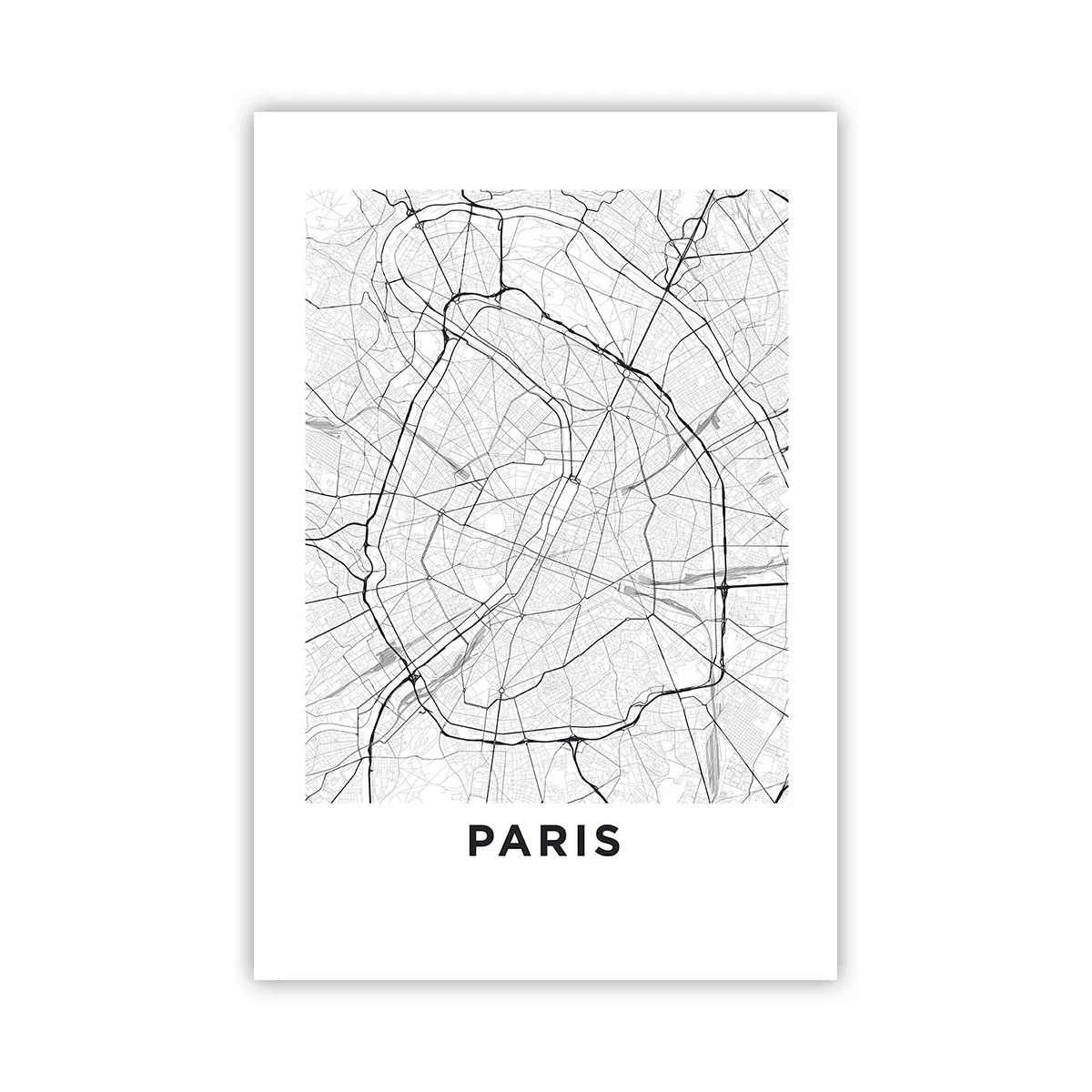 Poster - Pariser Blume - 61x91 cm