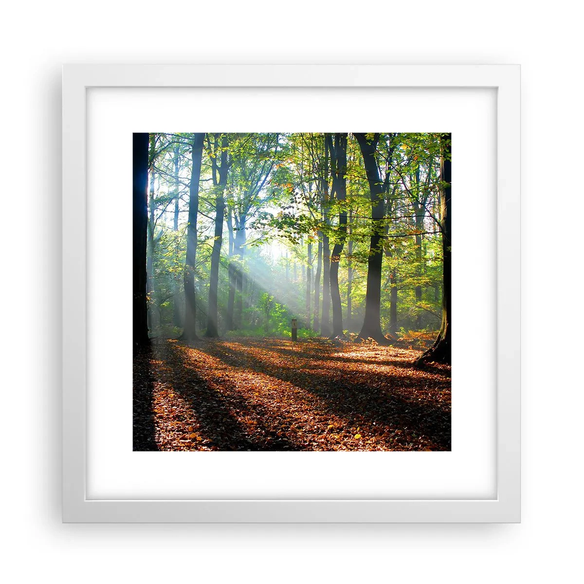 Poster in einem weißen Rahmen - Licht und Schatten - 30x30 cm