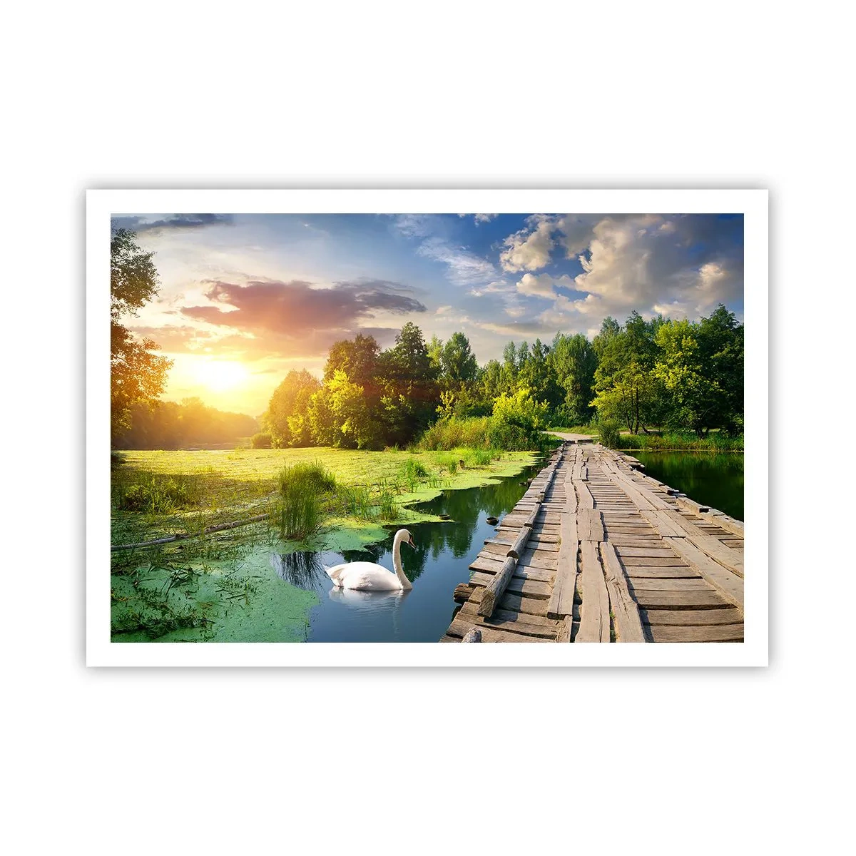 Poster - Eine malerische Landschaft mit einer Brücke und einem Schwan - 100x70cm - Sommer, Sommer überall - Moderne Wanddekoration für Wohnzimmer und Schlafzimmer ARTTOR