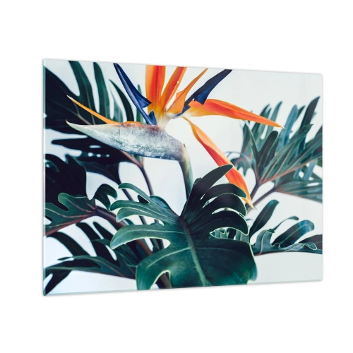 Glasbild - Bild auf glas - Exotische Pflanze mit Paradiesvogelblume - 70x50cm - Vogelbusch - Moderne Wanddekoration für Wohnzimmer und Schlafzimmer ARTTOR