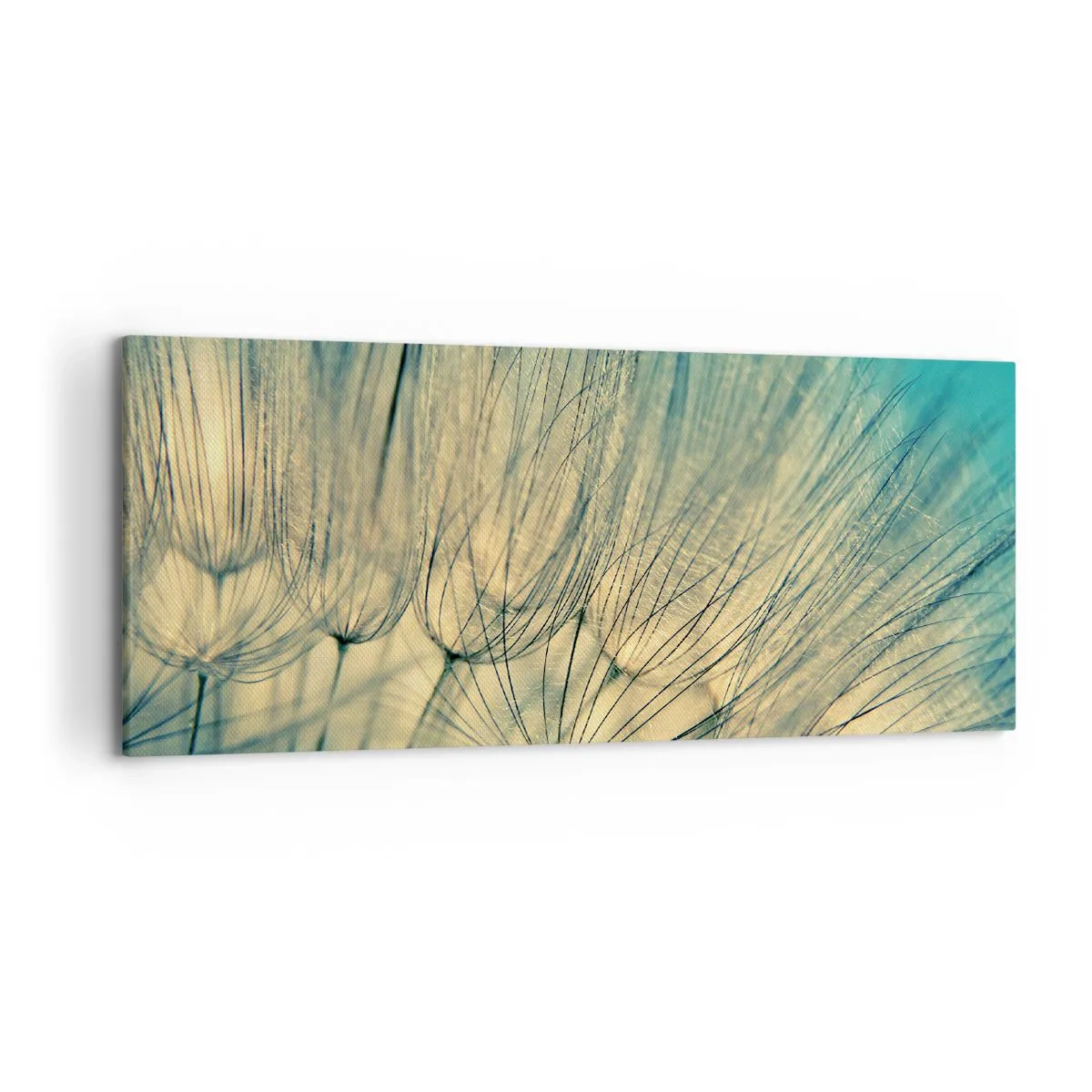 Bild auf Leinwand - Leinwandbild - Makrofotografie von Löwenzahn bei Tageslicht - 120x50cm - In Erwartung des Windes - Moderne Wanddekoration für Wohnzimmer und Schlafzimmer ARTTOR