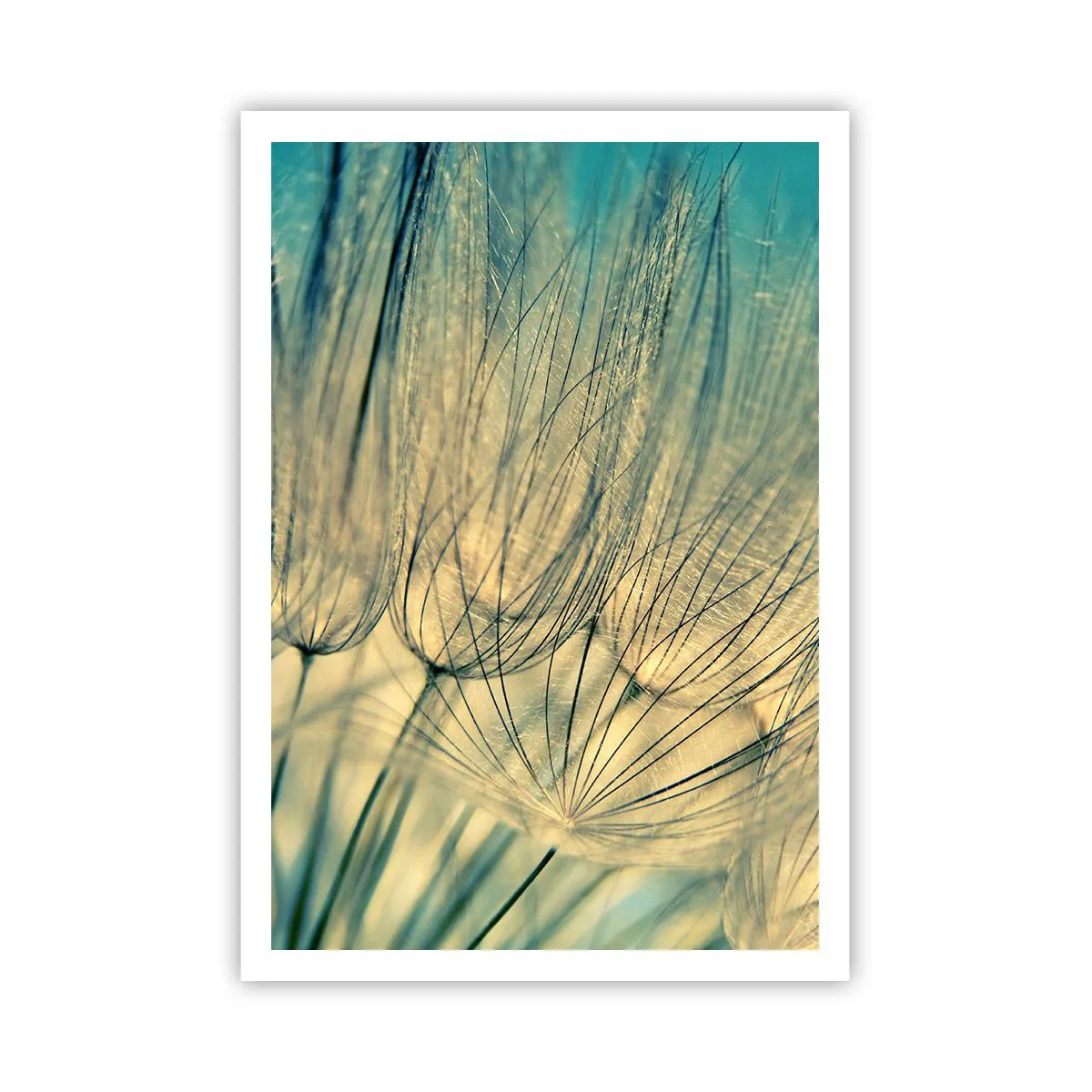 Poster - In Erwartung des Windes - 70x100 cm