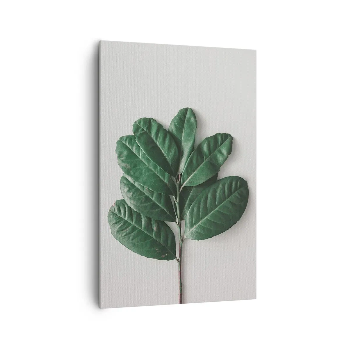 Bild auf Leinwand - Leinwandbild - Ein Zweig grüner Blätter auf hellem Hintergrund - 80x120cm - Eine Zeichnung purer Natur - Moderne Wanddekoration für Wohnzimmer und Schlafzimmer ARTTOR