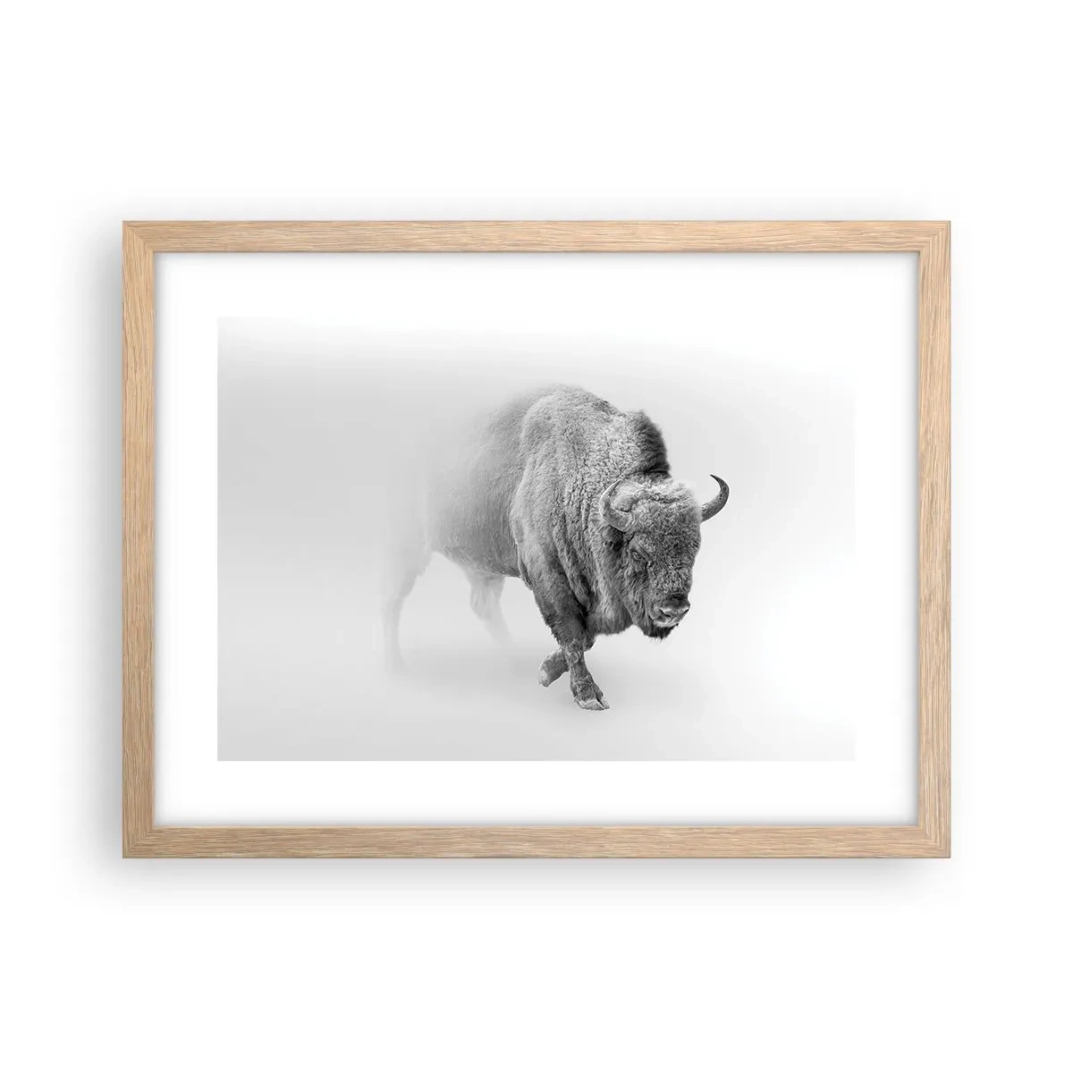 Poster in einem Rahmen aus heller Eiche - König der Prärie - 40x30 cm