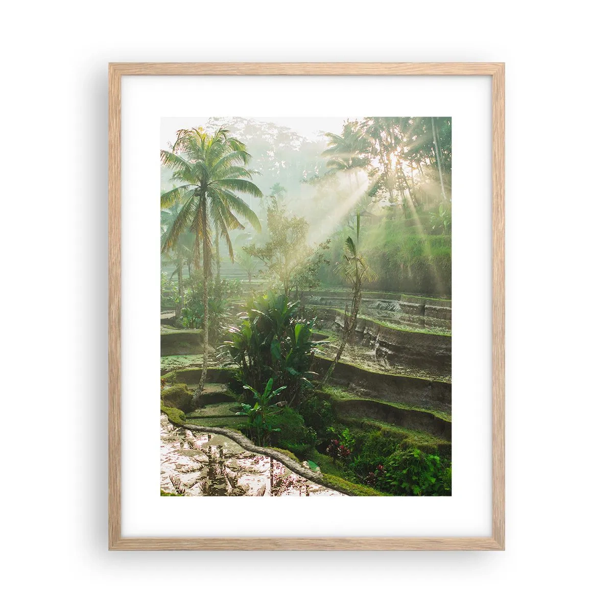 Poster in einem Rahmen aus heller Eiche - In der Sonne aufwachsen - 40x50 cm