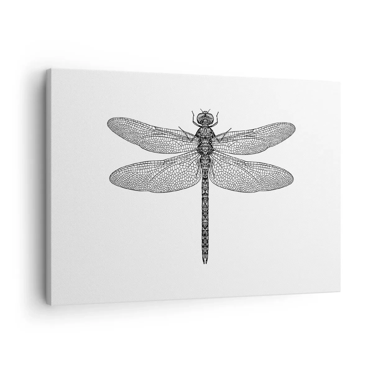 Bild auf Leinwand - Leinwandbild - Schwarz-weiße Zeichnung einer Libelle auf weißem Hintergrund im minimalistischen Stil - 70x50cm - Präzision der Natur - Moderne Wanddekoration für Wohnzimmer und Schlafzimmer ARTTOR