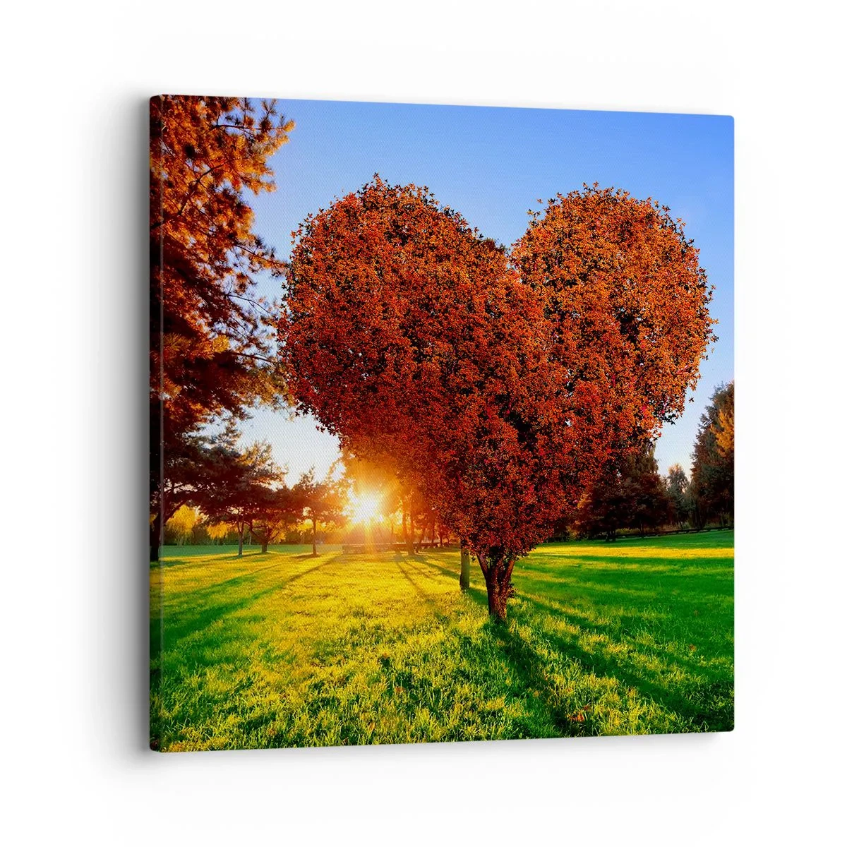 Bild auf Leinwand - Leinwandbild - Und wie man den Herbst nicht liebt - 30x30 cm