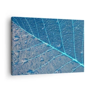 Bild auf Leinwand - Leinwandbild - Ein Blatt in Blautönen mit Wassertropfen - 70x50cm - Leben in Blau - Moderne Wanddekoration für Wohnzimmer und Schlafzimmer ARTTOR
