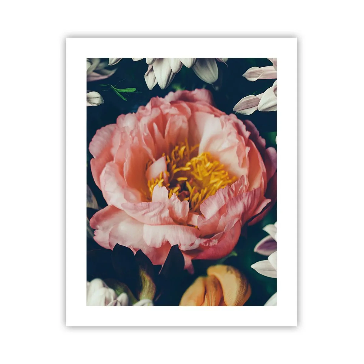 Poster - Mit barocker Pracht - 40x50 cm