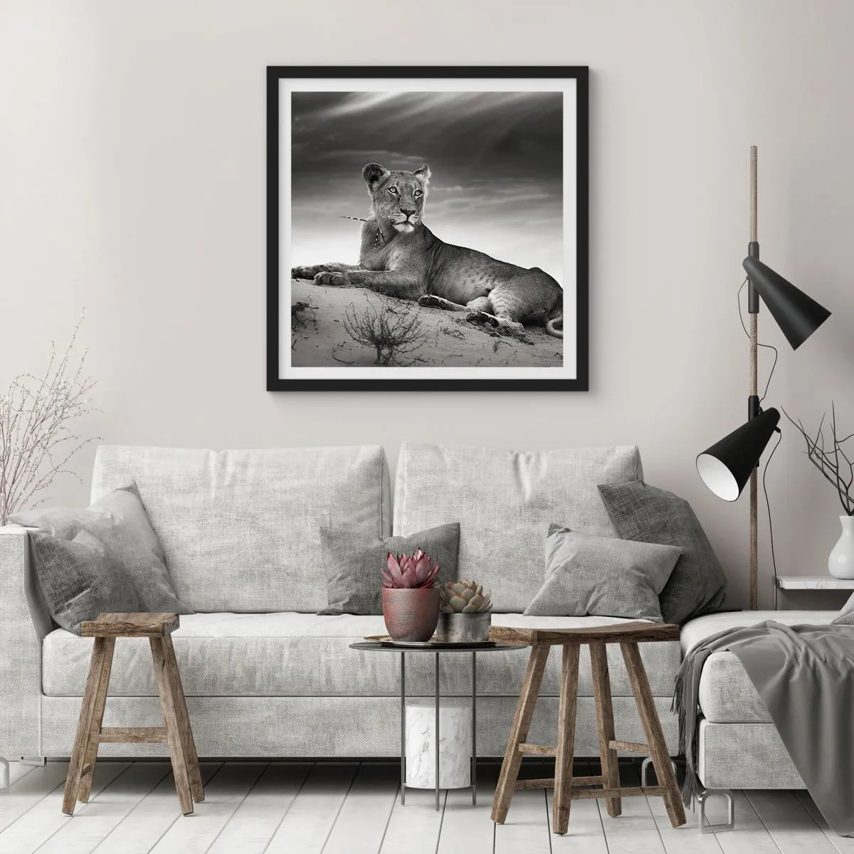 Poster in einem schwarzem Rahmen - Die Königin der Wüstenruhe - 50x50 cm