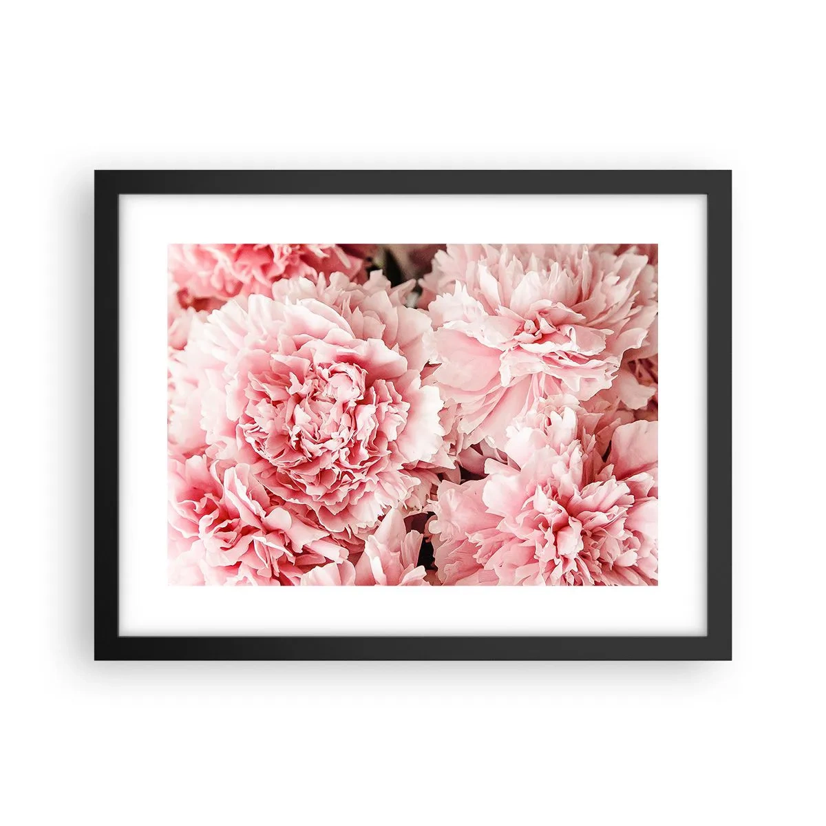 Poster in einem schwarzem Rahmen - Rosa Traum - 40x30 cm