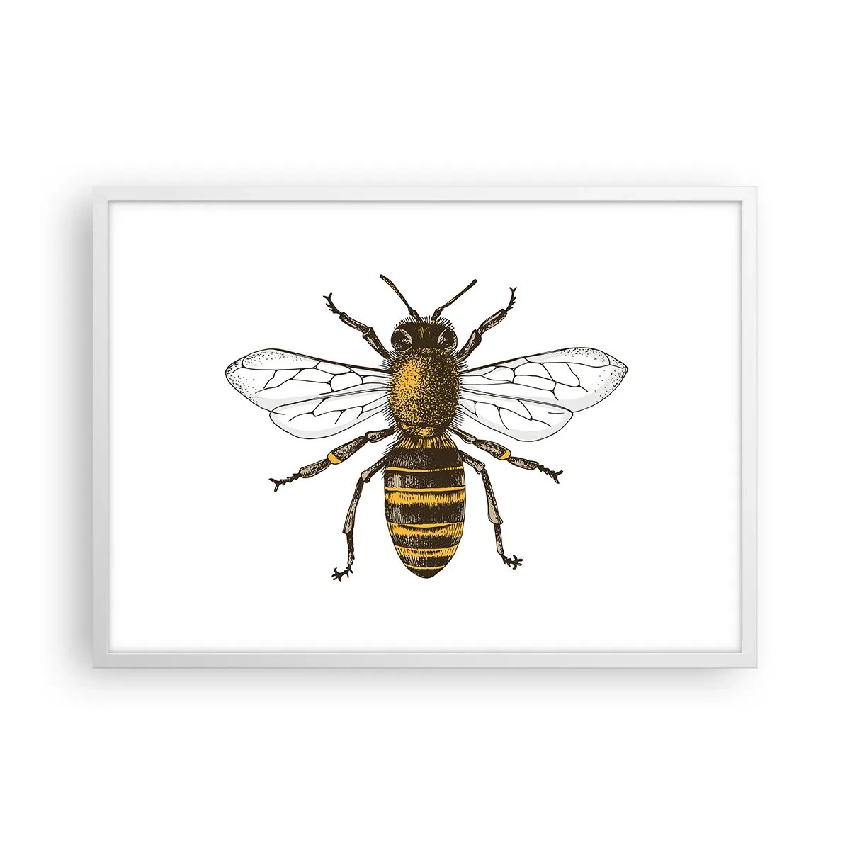 Poster in einem weißen Rahmen - Schön und gut - 70x50 cm