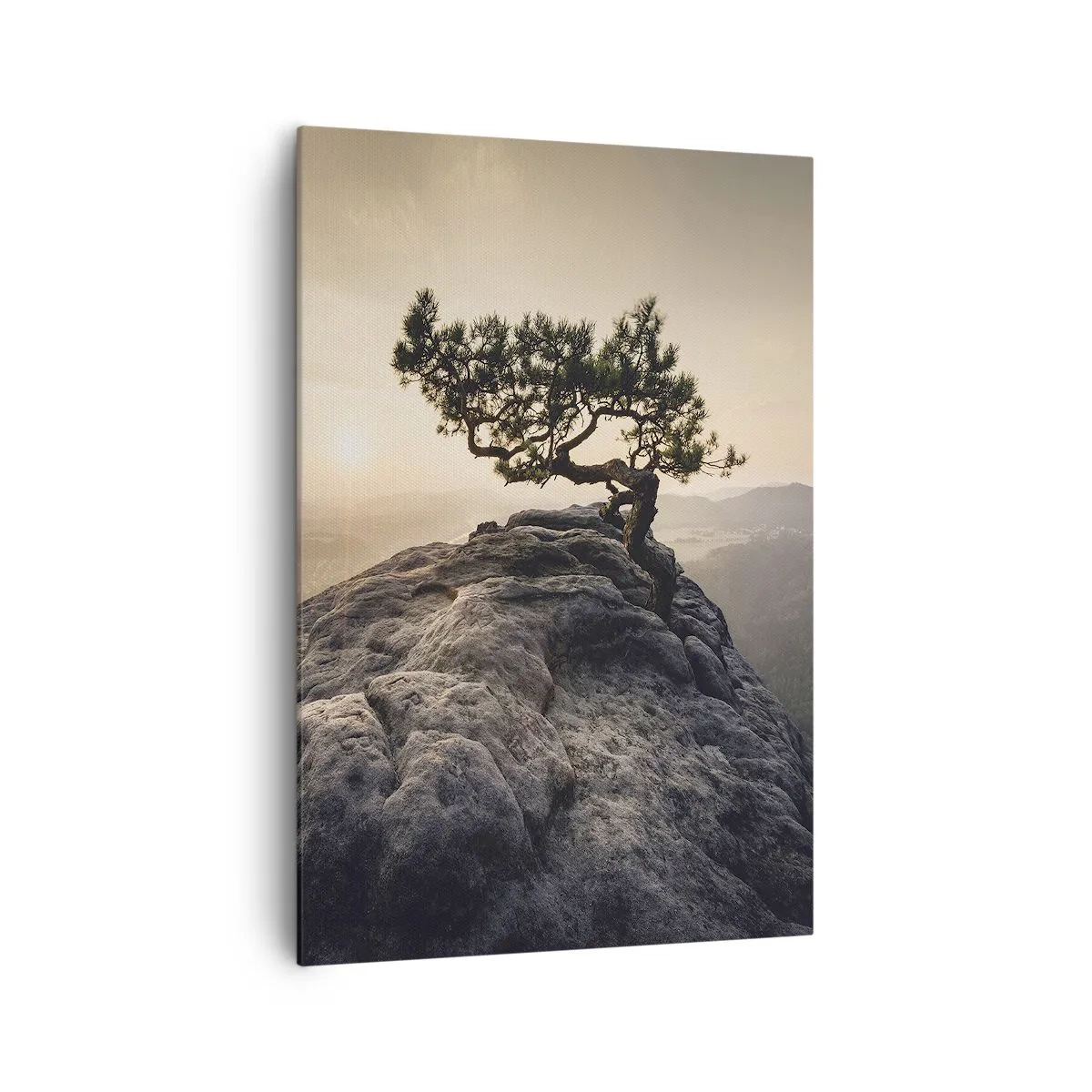Bild auf Leinwand - Leinwandbild - Ein einsamer Baum auf einem felsigen Gipfel im Sonnenlicht - 70x100cm - Das Leben gewinnt immer - Moderne Wanddekoration für Wohnzimmer und Schlafzimmer ARTTOR