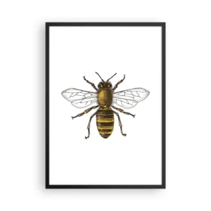 Poster in einem schwarzem Rahmen - Vintage Bienendetailillustration - 50x70cm - Schön und gut - Moderne Wanddekoration für Wohnzimmer und Schlafzimmer ARTTOR