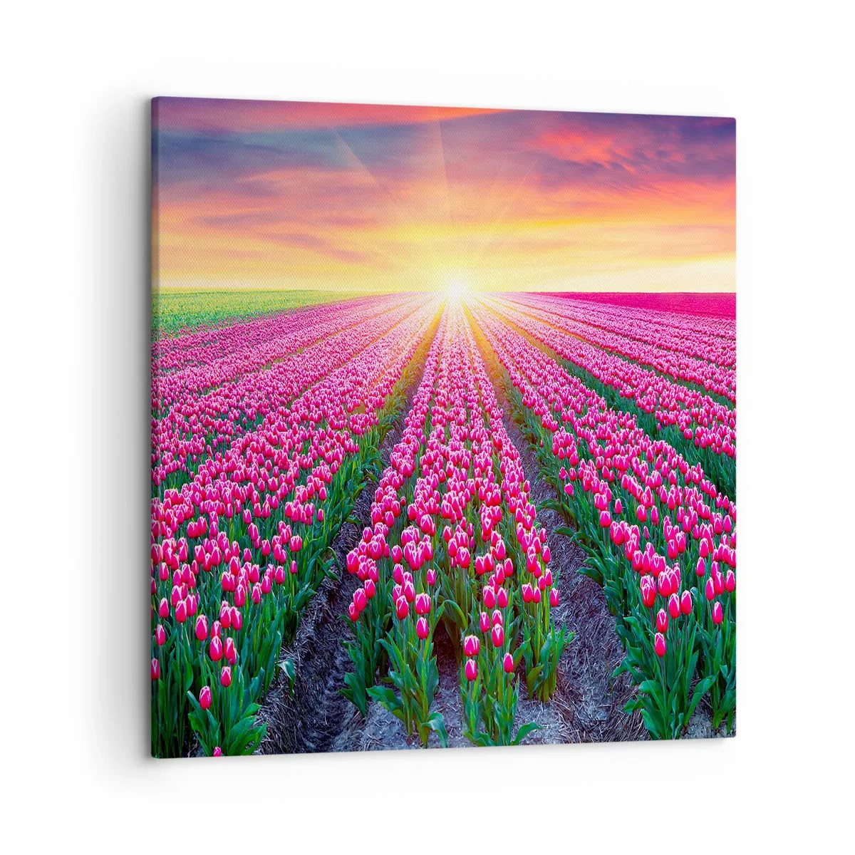 Bild auf Leinwand - Leinwandbild - Schönheitsfarm - 50x50 cm