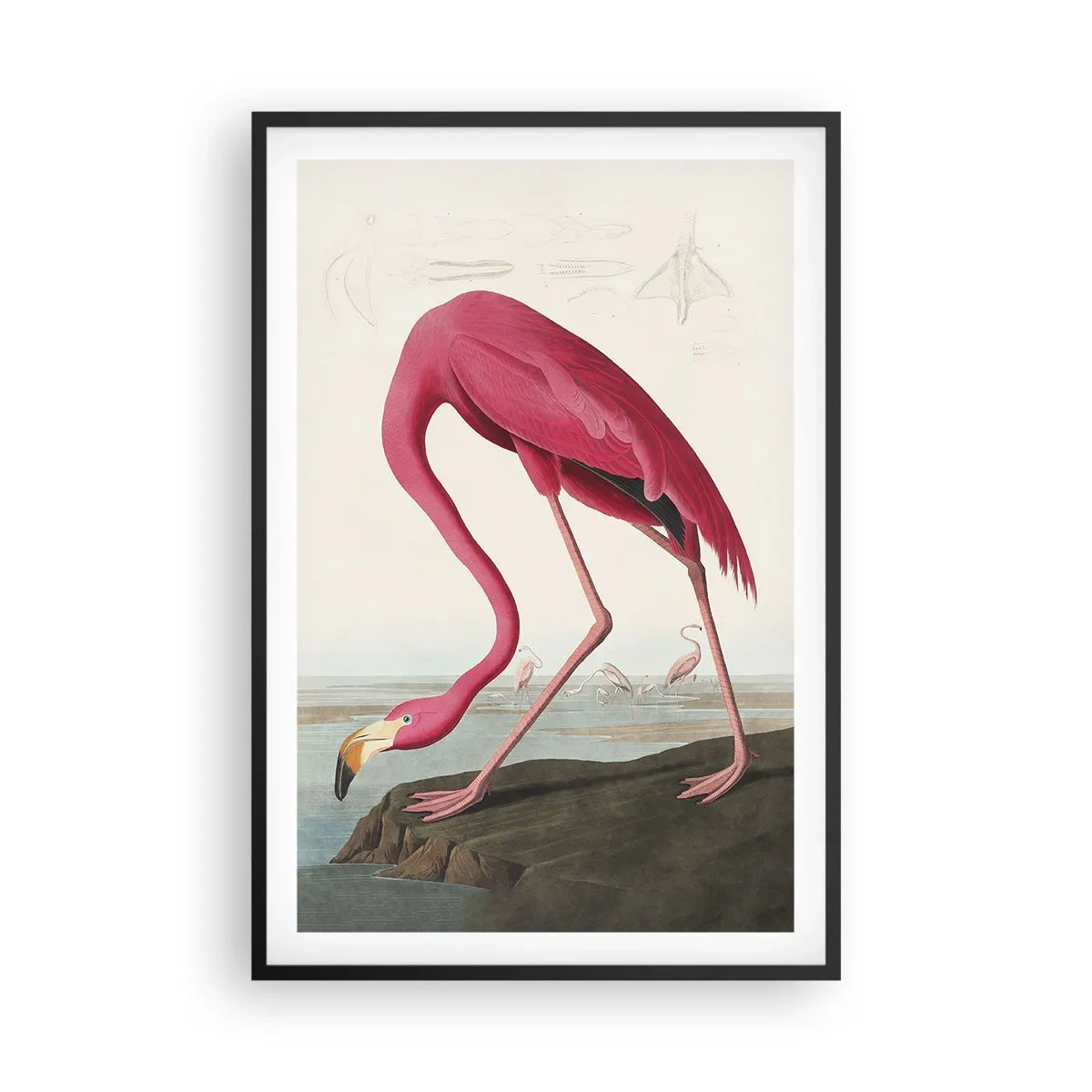 Poster in einem schwarzem Rahmen - Erstaunliche Kreation - 61x91 cm