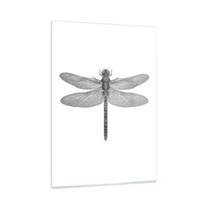 Glasbild - Bild auf glas - Detaillierte Darstellung einer Libelle im Gravurstil auf weißem Hintergrund - 50x70cm - Präzision der Natur - Moderne Wanddekoration für Wohnzimmer und Schlafzimmer ARTTOR