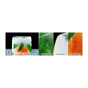 Fototapeten Muster Premium Canvas - Frisch und kühl - Eiswürfel, Orange, Blatt Minze - 100x30 cm