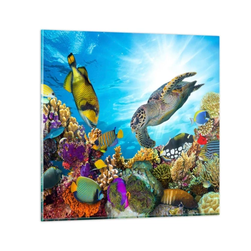 Glasbild - Bild auf glas - Korallenpromenade - 70x70 cm