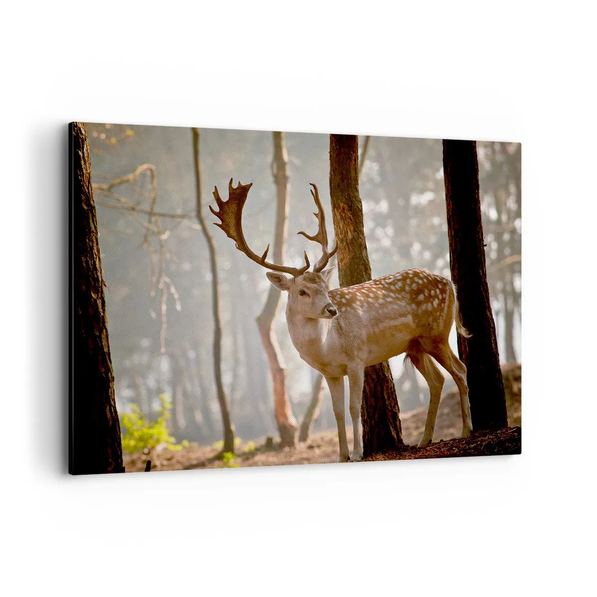 Bild auf Leinwand - Leinwandbild - Hirsche im Wald im Morgennebel - 100x70cm - Das Licht der Jugend - Moderne Wanddekoration für Wohnzimmer und Schlafzimmer ARTTOR