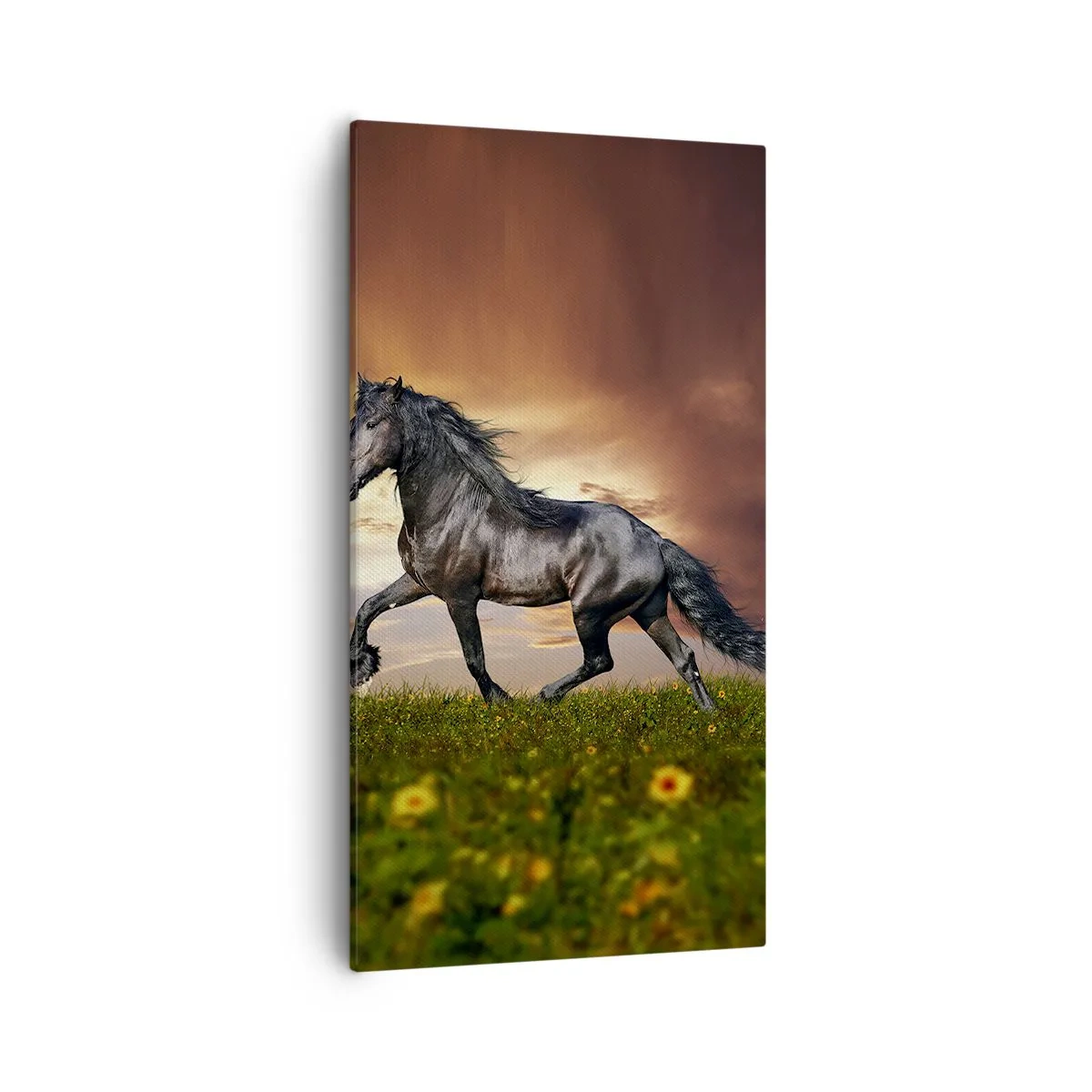 Bild auf Leinwand - Leinwandbild - Schwarzer Prinz - 55x100 cm