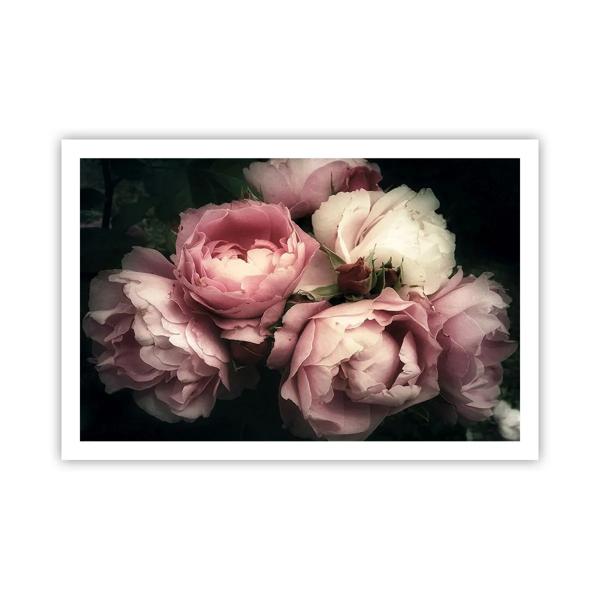 Poster - Der Charme der Belle Epoque - 91x61 cm