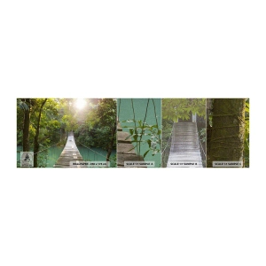 Fototapeten Muster Premium Canvas - Über das azurblaue Wasser zum azurblauen Wald - Landschaft, Dschungel, Holzbrücke - 100x30 cm