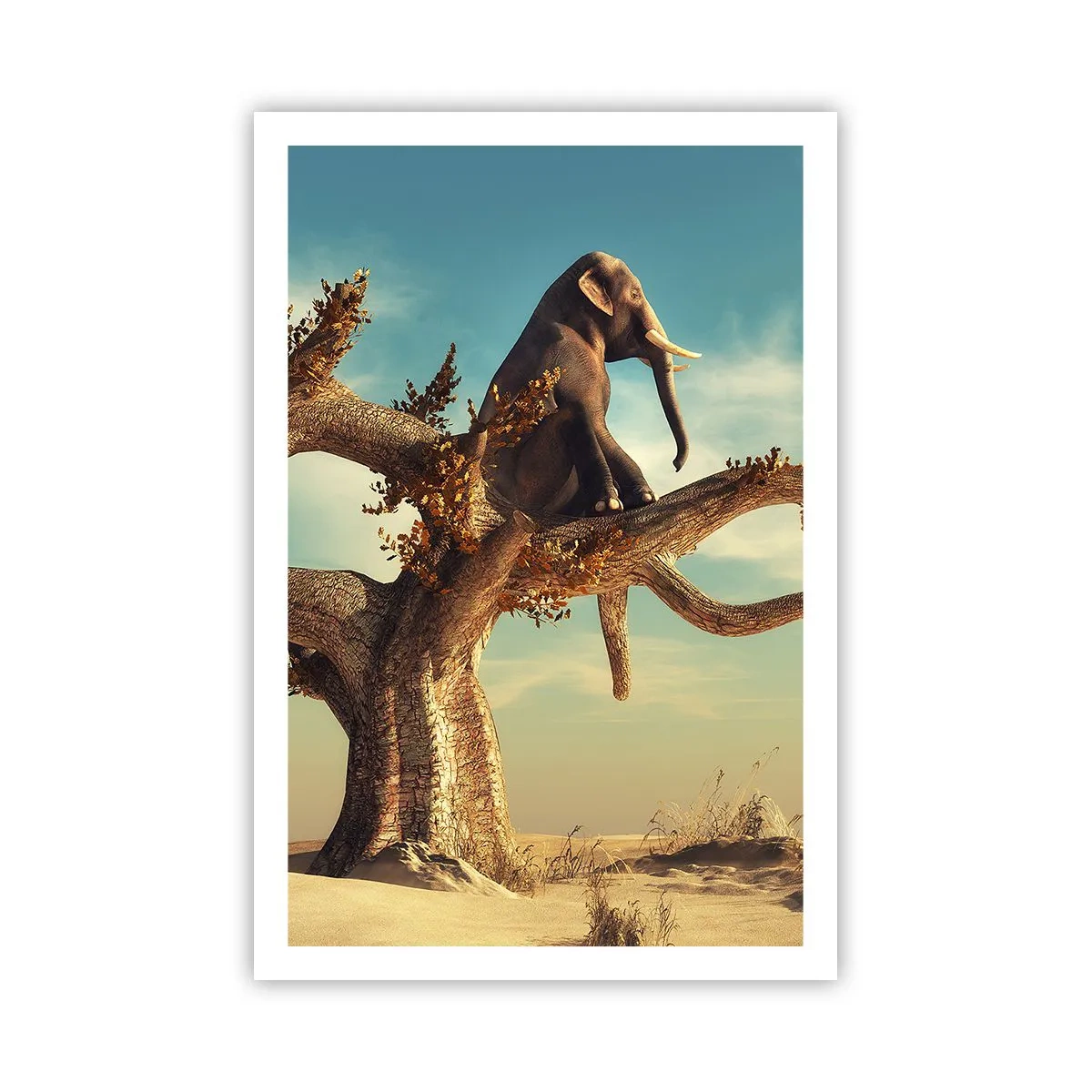 Poster - Ein neuer Standpunkt - 61x91 cm