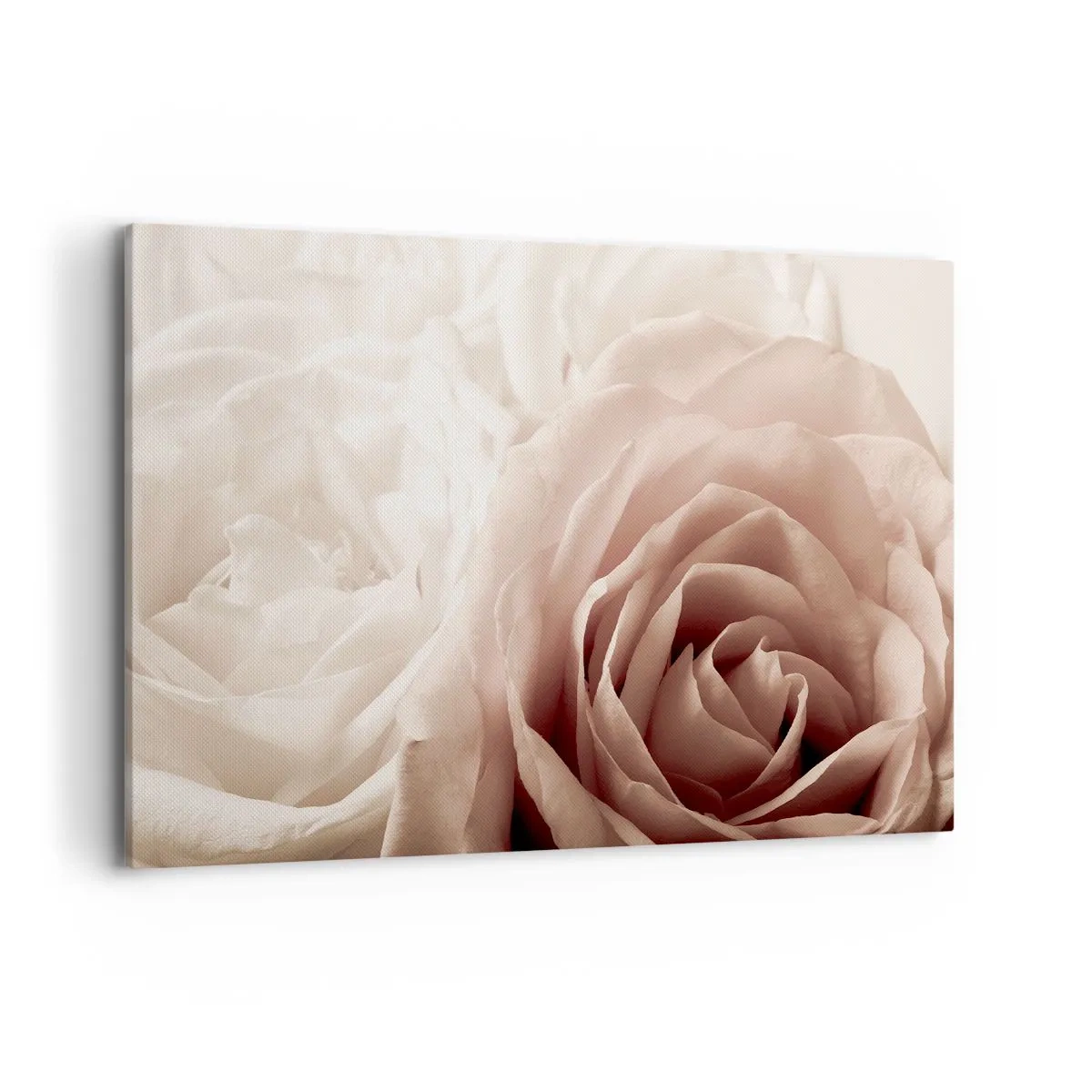 Bild auf Leinwand - Leinwandbild - Zarte Rosen in pastelligen Beigetönen - 100x70cm - Im Herzen der Rose - Moderne Wanddekoration für Wohnzimmer und Schlafzimmer ARTTOR