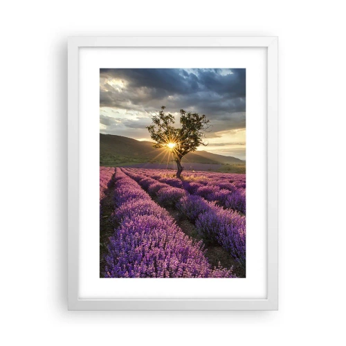 Poster in einem weißen Rahmen - Fliederfarbenes Aroma - 30x40 cm