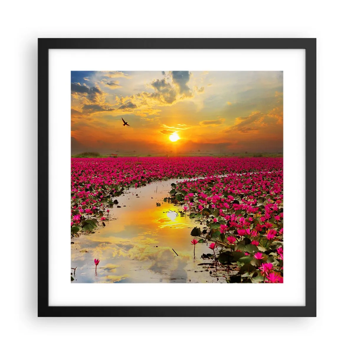 Poster in einem schwarzem Rahmen - Das geheime Leben des Sees - 40x40 cm