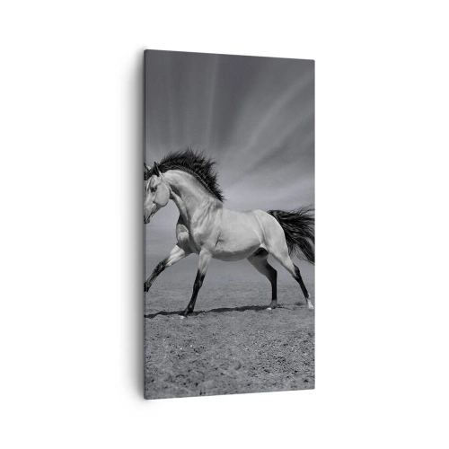 Bild auf Leinwand - Leinwandbild - Geboren um Freude zu bereiten - 55x100 cm
