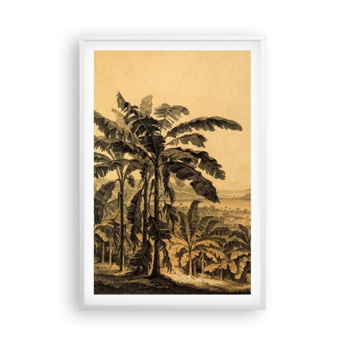 Poster in einem weißen Rahmen - in einem kolonialen Klima - 61x91 cm