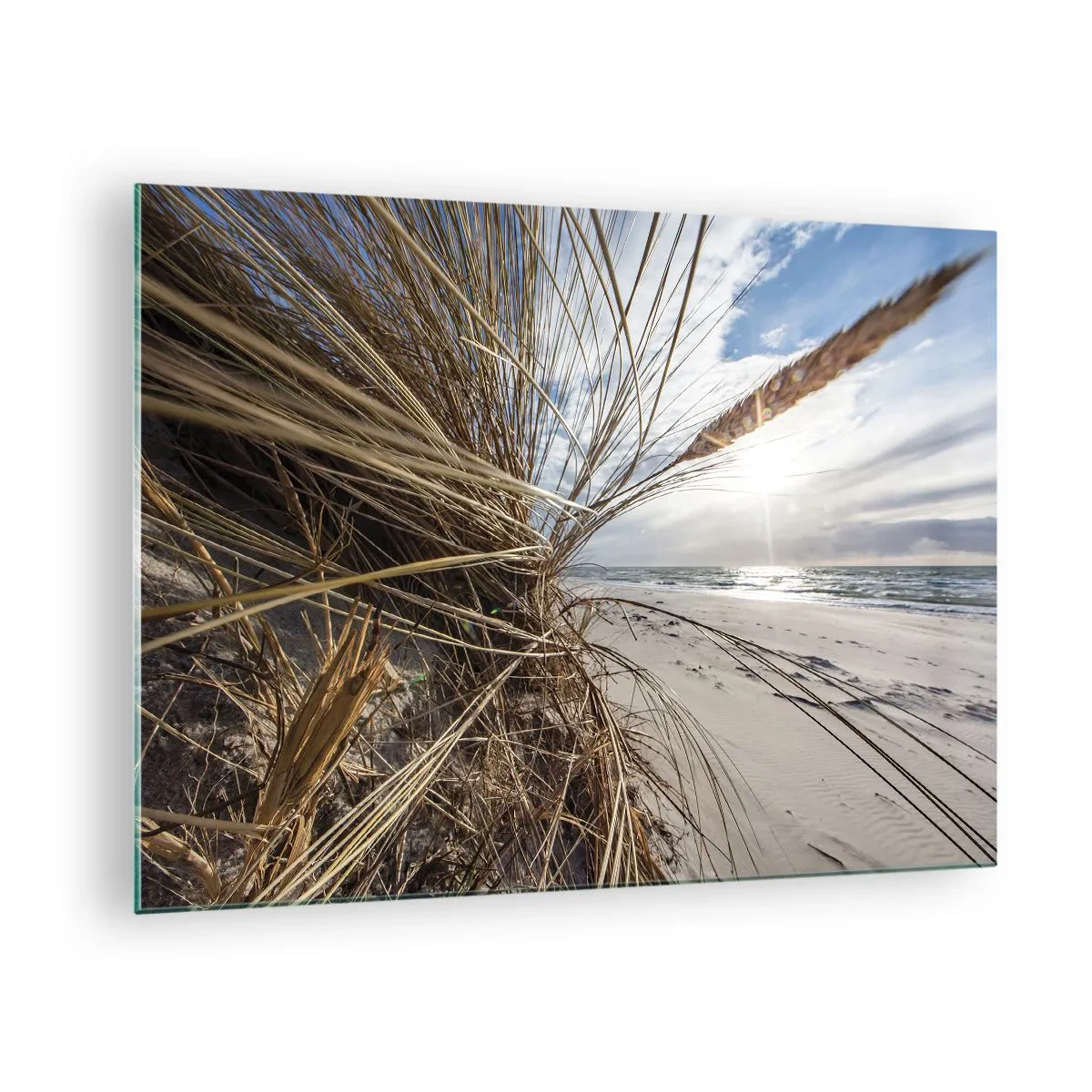 Glasbild - Bild auf glas - Goldenes Gras vor der Kulisse eines Sandstrandes und des Meeres - 70x50cm - Ein Treffen der Elemente der Natur - Moderne Wanddekoration für Wohnzimmer und Schlafzimmer ARTTOR