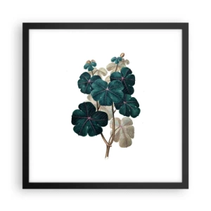 Poster in einem schwarzem Rahmen - Aus dem alten Herbarium - 40x40 cm
