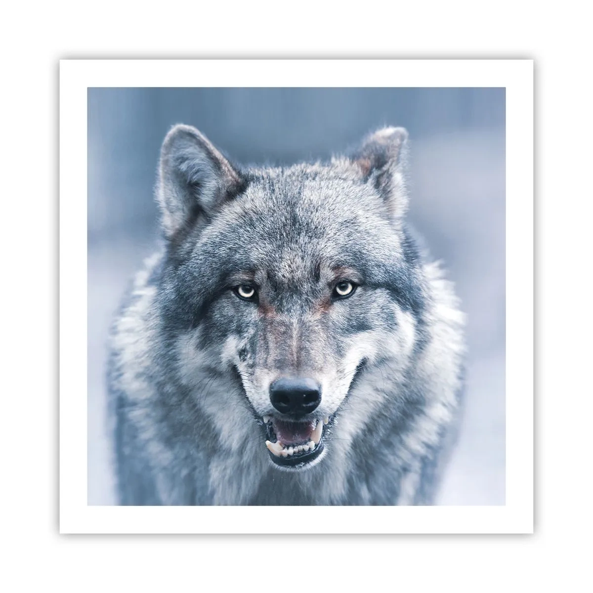 Poster - Werden Sie die Herausforderung annehmen? - 60x60 cm