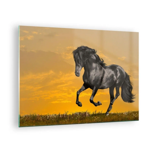 Glasbild - Bild auf glas - Ein schwarzes Pferd galoppiert gegen die untergehende Sonne - 70x50cm - Schön, frei und wild - Moderne Wanddekoration für Wohnzimmer und Schlafzimmer ARTTOR