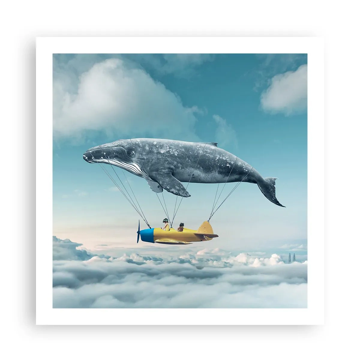 Poster - Warum nicht? - 60x60 cm