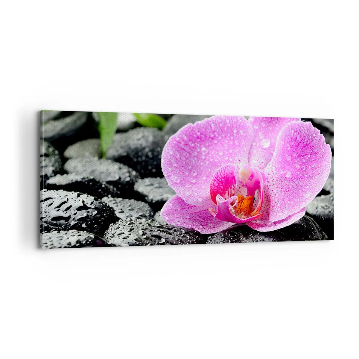 Bild auf Leinwand - Leinwandbild - Wie ein offenes Herz - 100x40 cm